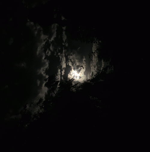 Striborg : A Perpetual Struggle of Restless Minds